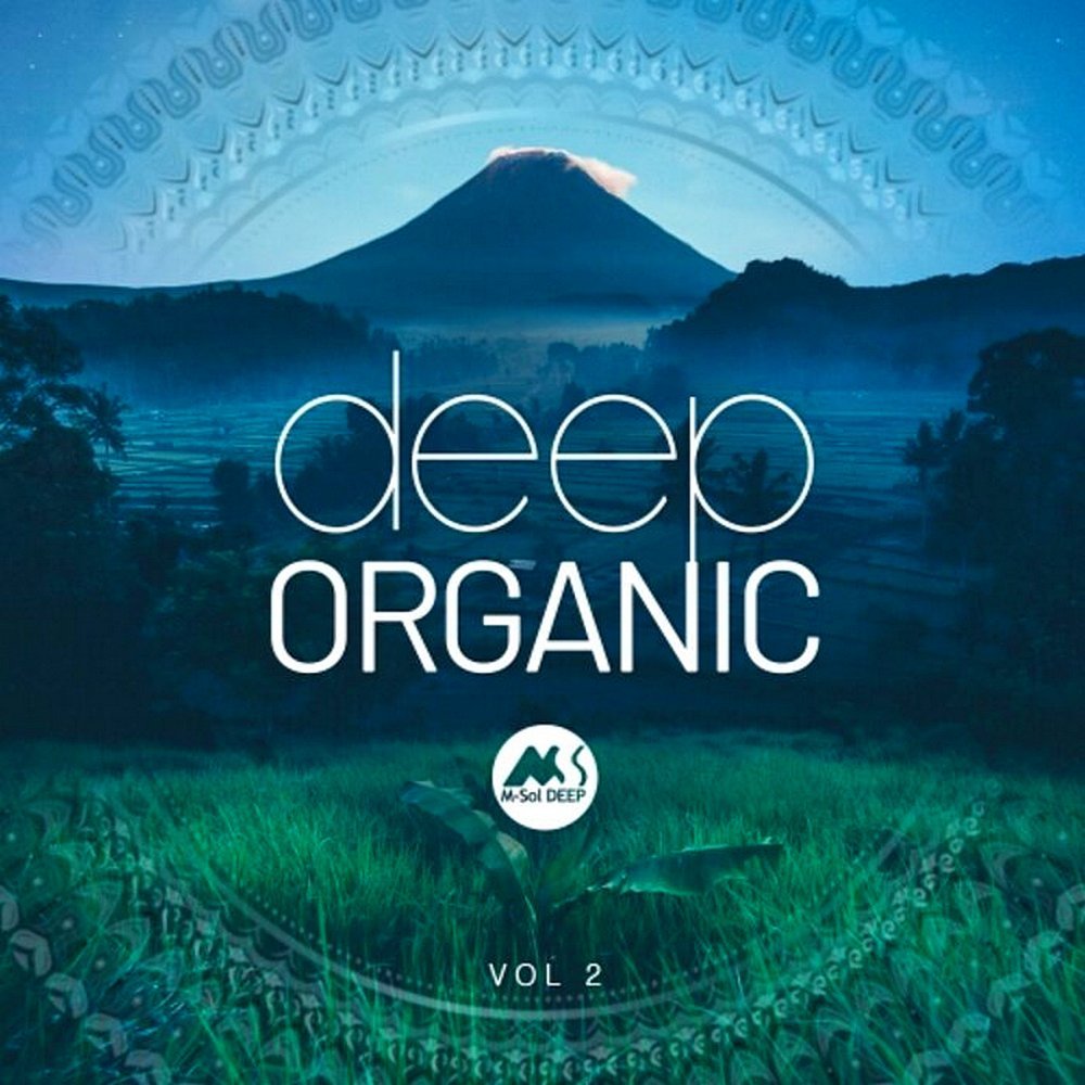 VA - Deep Organic Vol 2 [MSD141]